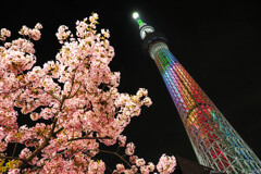 AI画像ではありません･･･が、