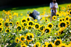 なつのパワーチャージ