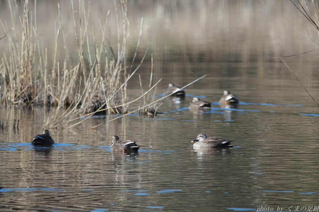 立春前の佇まい