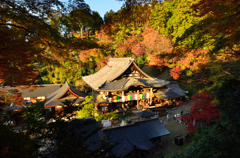 西国三十三所第七番礼所　~岡寺~