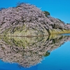 水鏡の桜城