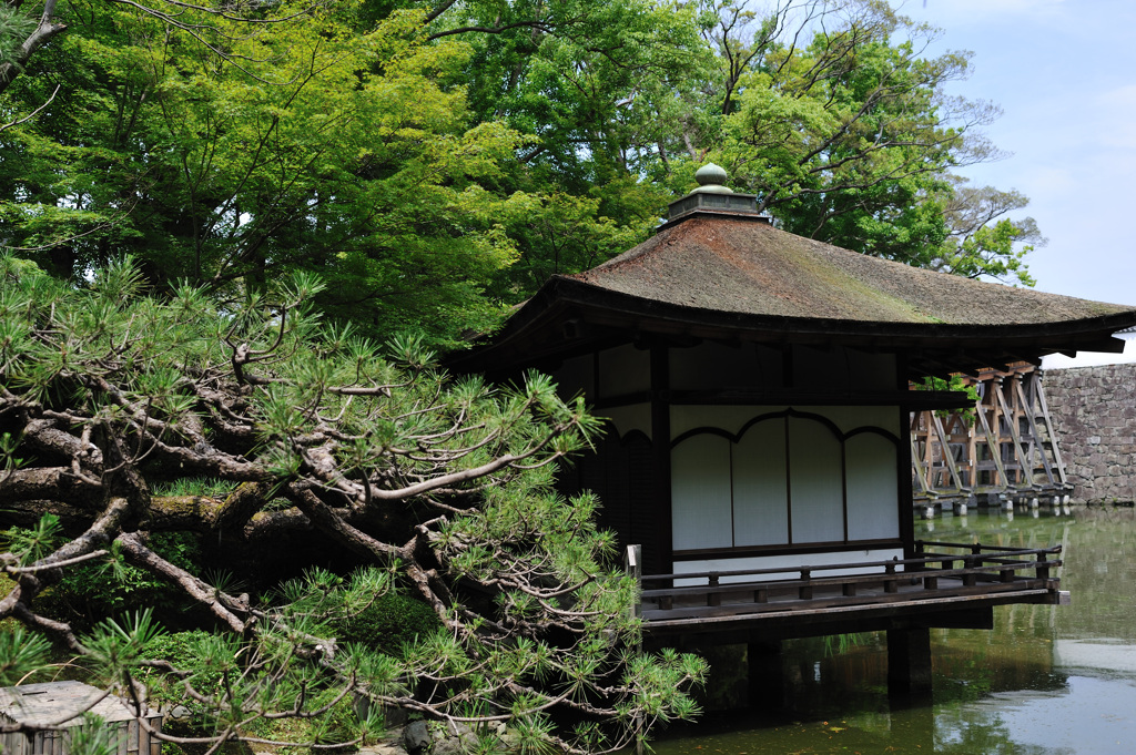 和歌山城西の丸庭園②