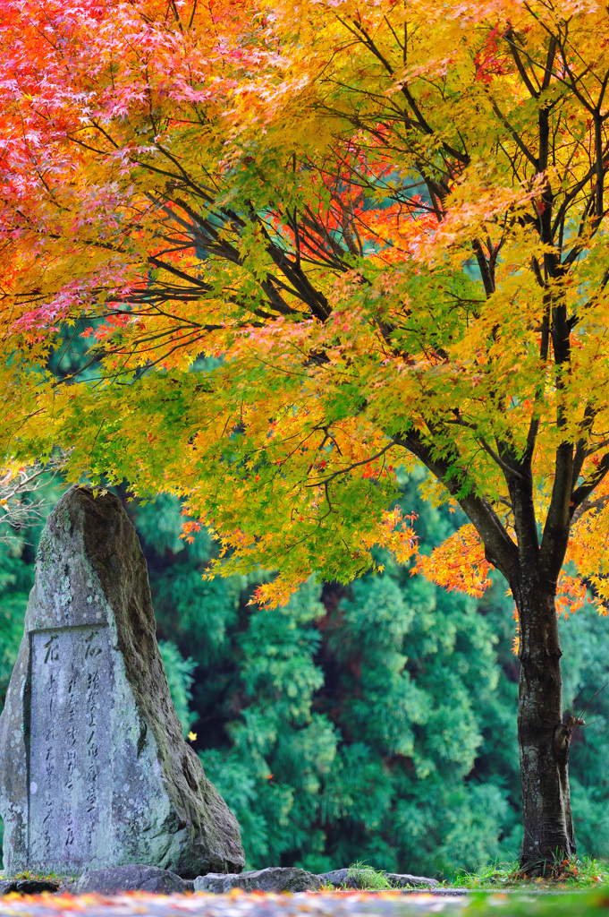 談山神社界隈にて