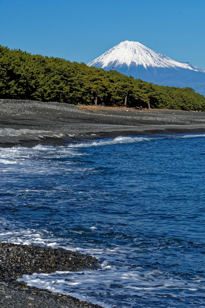 富士山巡礼　-別れの三保松原-