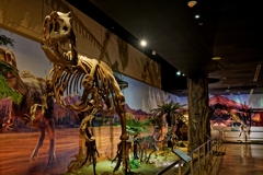 タイの恐竜博物館 Ⅱ