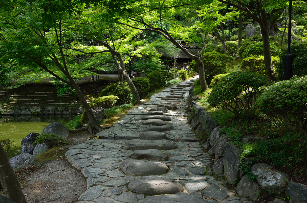 和歌山城西の丸庭園③