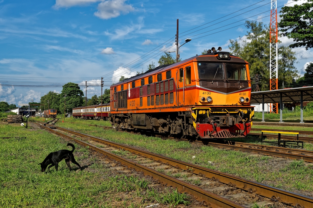 犬も歩けば線路を渡る