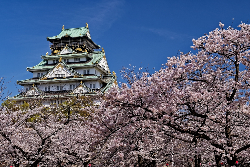 大阪春の陣