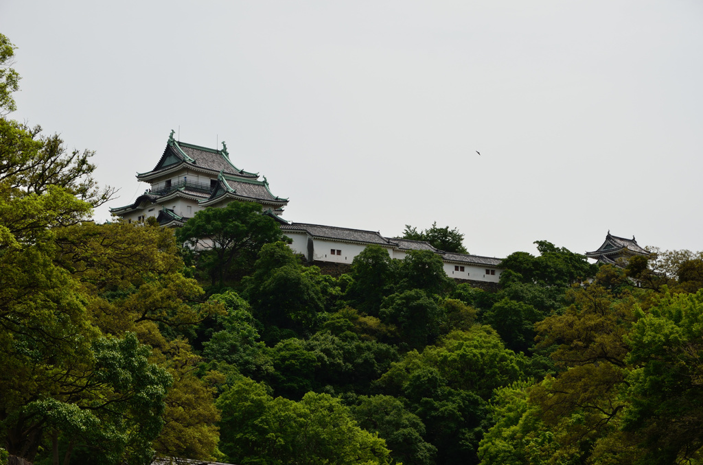和歌山城①