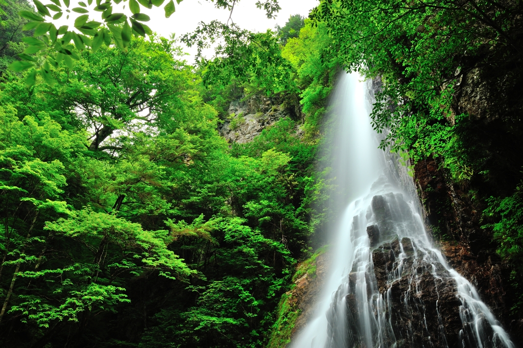 末広の美瀑　Ⅱ