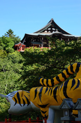 信貴山朝護孫子寺1