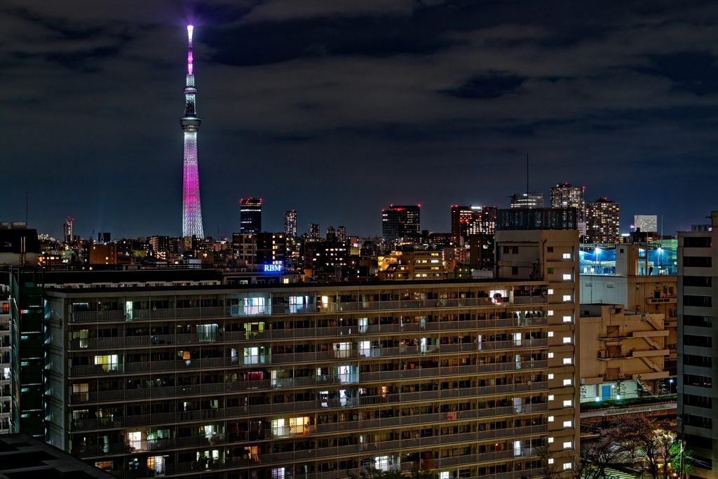 夜空に輝くスカイツリー