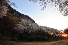 屏風岩に朝の到来