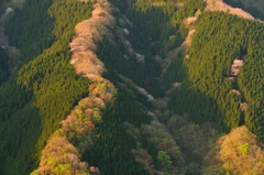 尾根彩られる春