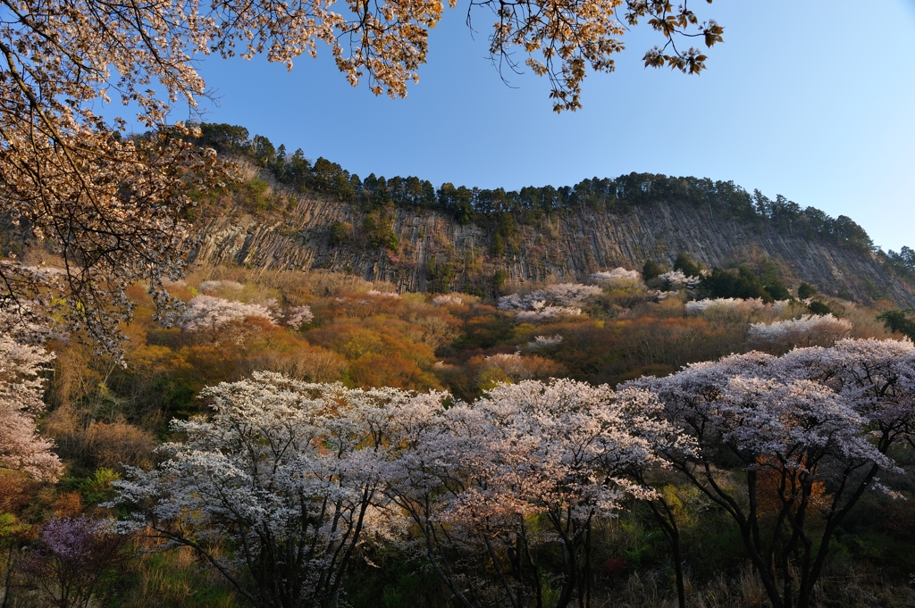 春屏風　参