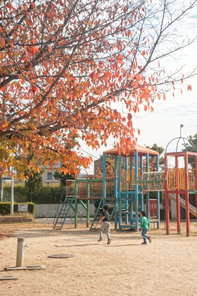 秋晴れの公園を駆ける