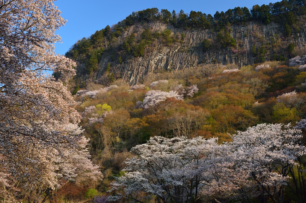 春屏風　弐