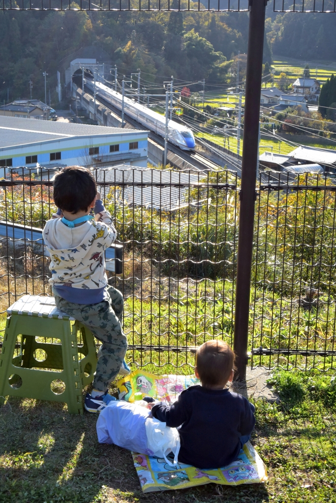 新幹線を観る兄弟