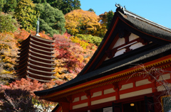 大和七福八宝巡り　~談山神社~　紅葉まつり