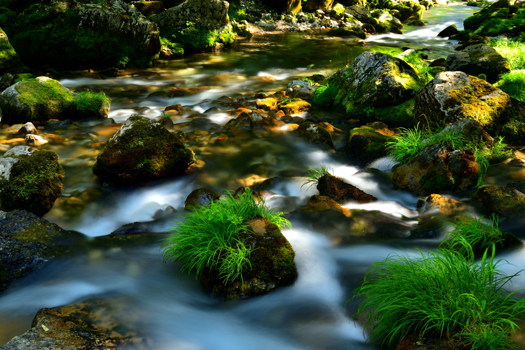 円原伏流水 By 自然堂哲 Id 写真共有サイト Photohito