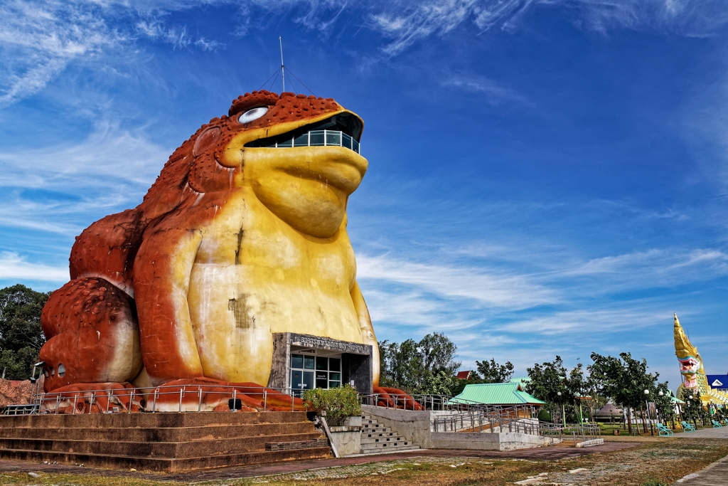 Yasothon Giant Toad
