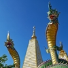 Double Naga 2025