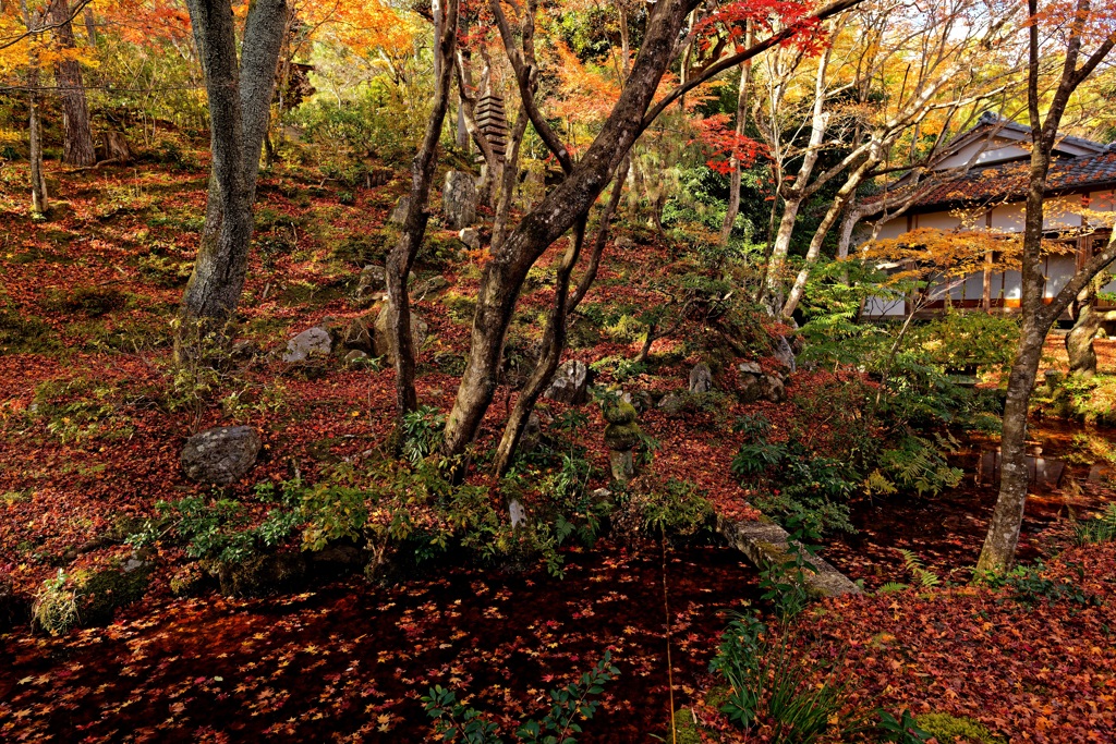 小倉山の秋庭