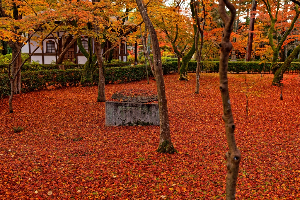 紅葉筵