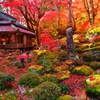 錦秋石庭の至美
