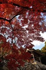 錦の里　正暦寺　~秋の鐘楼~