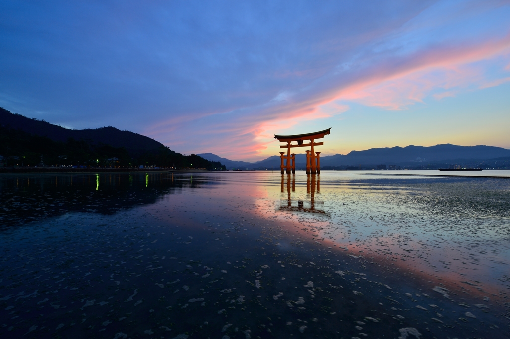 満ちてゆき、夕彩の時