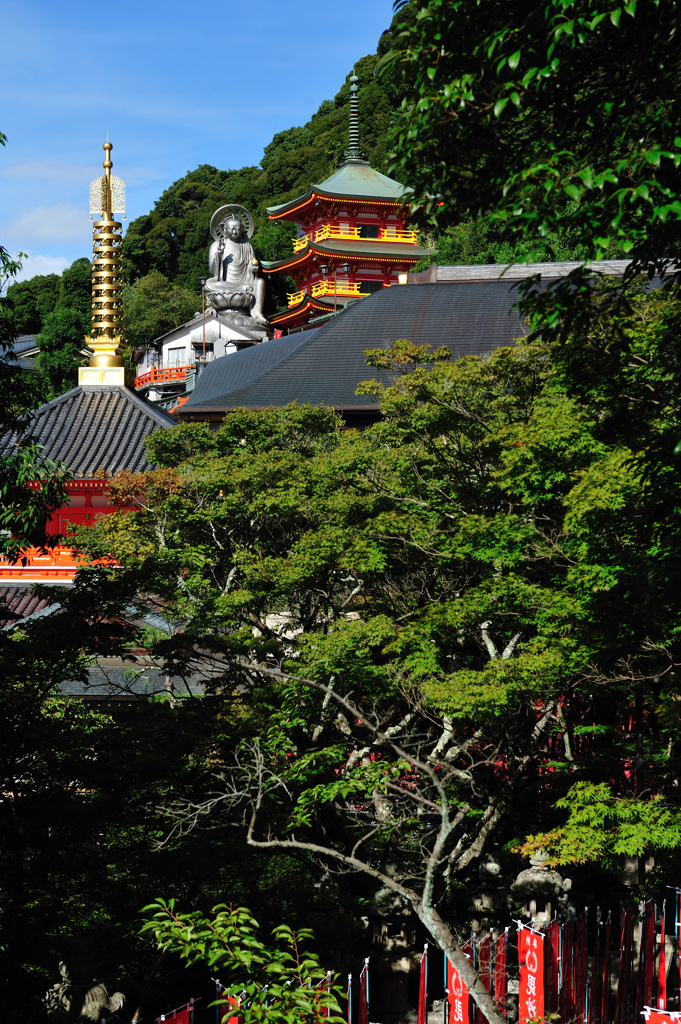 信貴山朝護孫子寺2