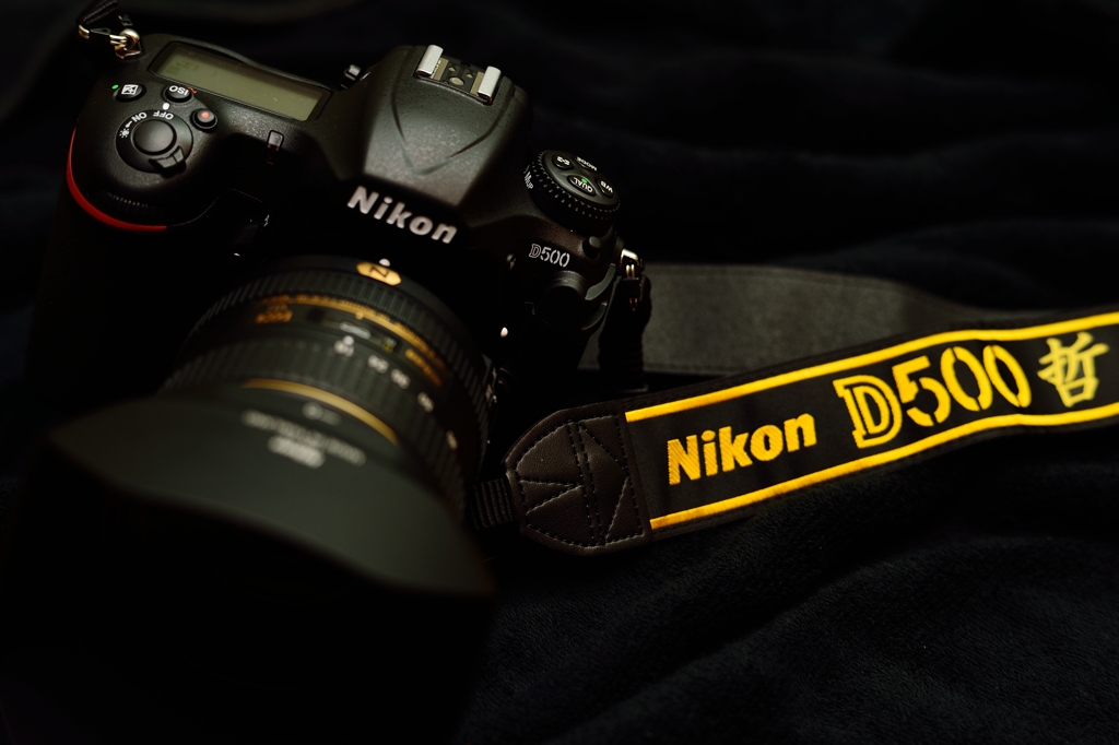 I AM THE D500 …哲