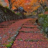 晩秋参道