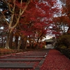 敷き紅葉　毘沙門堂