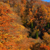 大山環状道の秋景
