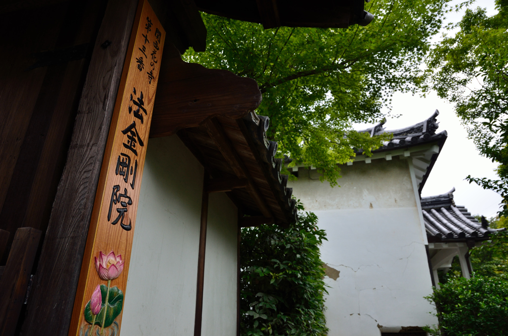 法金剛院　観蓮会にて