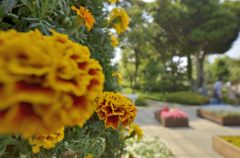 花のタワーからサムエル・コッキング苑)