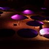 高台寺ライトアップ＃３