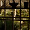 格子窓からの庭（宝泉院）