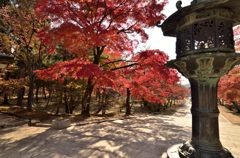 仁和寺＃６