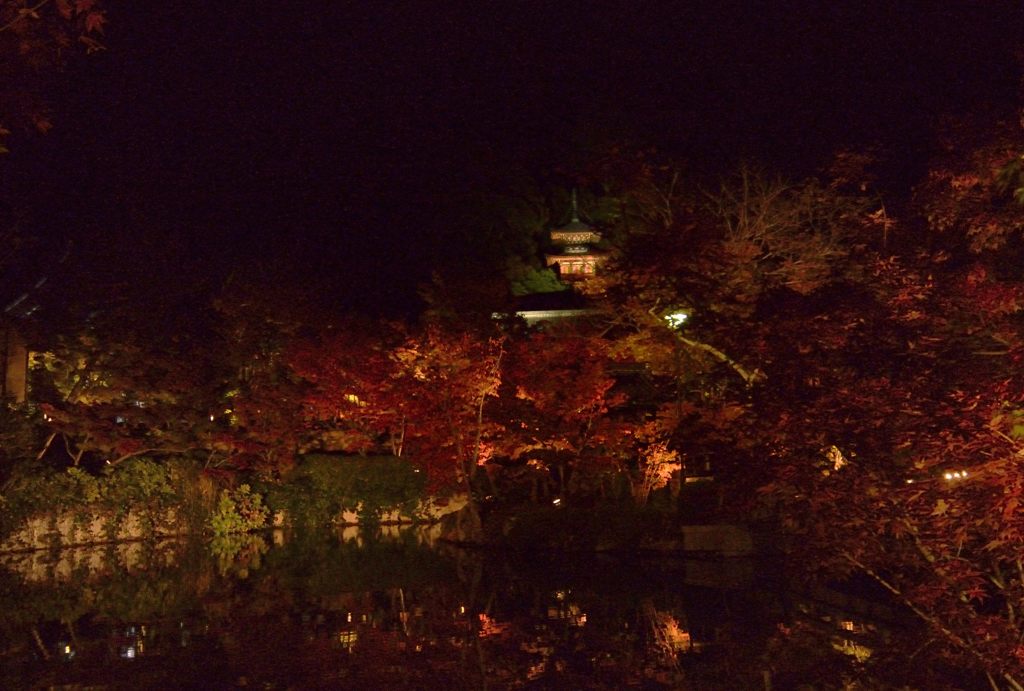 もみじに映える多宝塔