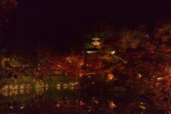 もみじに映える多宝塔