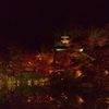 もみじに映える多宝塔
