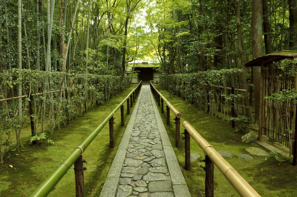 高桐院へのアプローチ