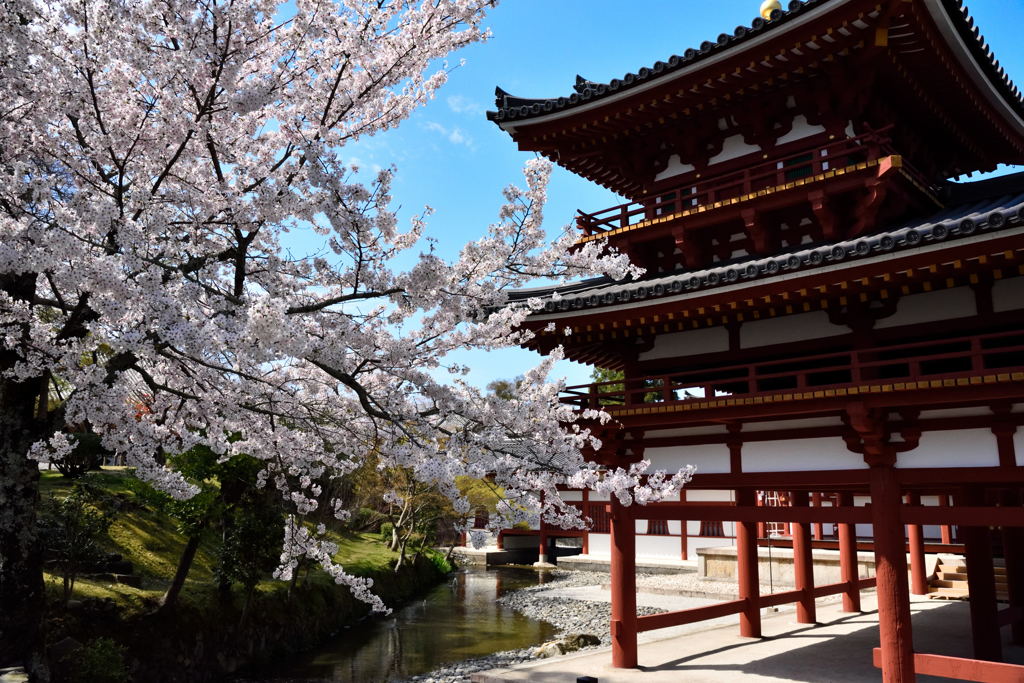 平等院、ここもイイです