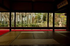 額縁庭園#2(宝泉院)