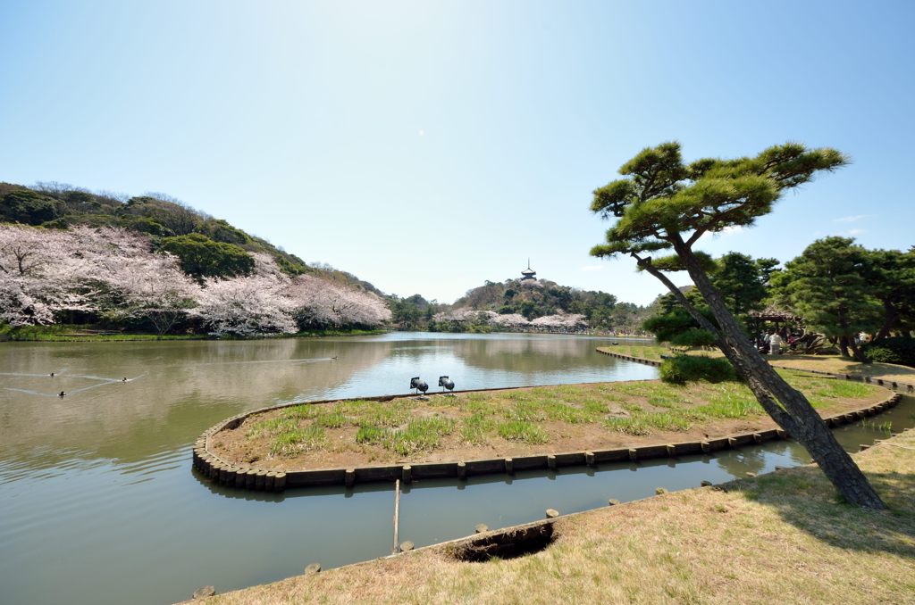 池を中心にワイドに