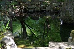 檀林寺（ひょうたん池）