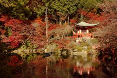 醍醐寺です・・・